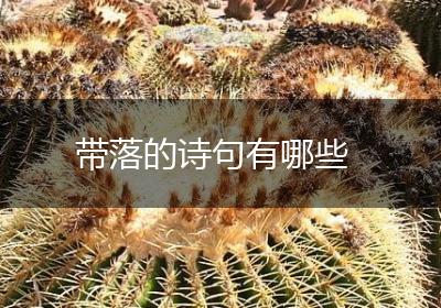 带落的诗句有哪些