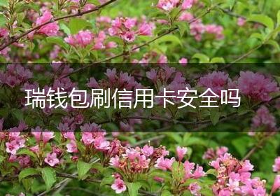 瑞钱包刷信用卡安全吗