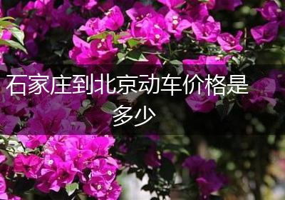 石家庄到北京动车价格是多少