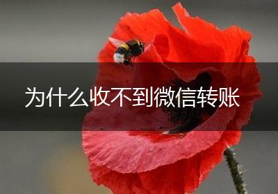 为什么收不到微信转账