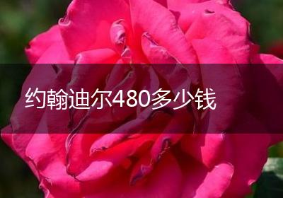 约翰迪尔480多少钱