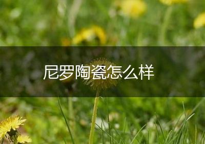 尼罗陶瓷怎么样
