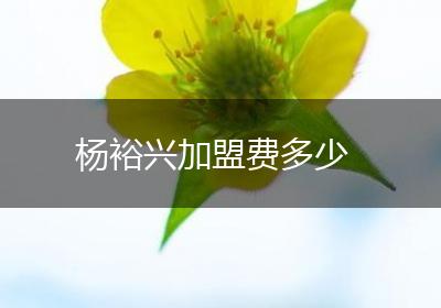 杨裕兴加盟费多少