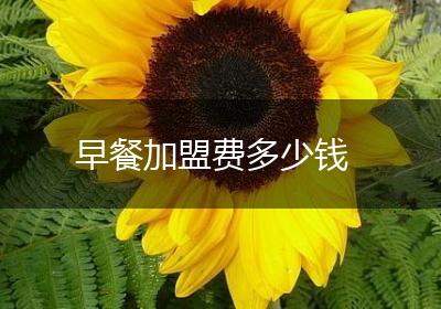 早餐加盟费多少钱