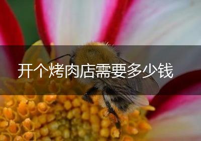 开个烤肉店需要多少钱