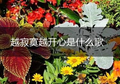 越寂寞越开心是什么歌