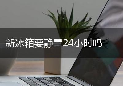 新冰箱要静置24小时吗