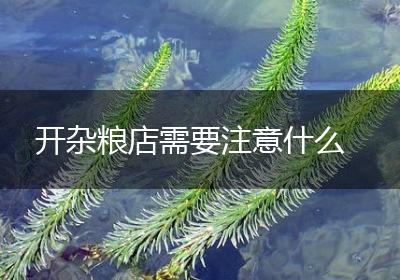 开杂粮店需要注意什么