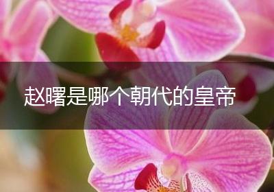 赵曙是哪个朝代的皇帝