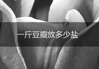 一斤豆瓣放多少盐