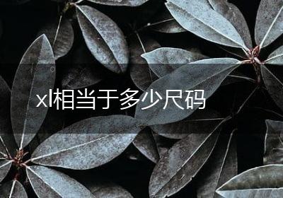 xl相当于多少尺码