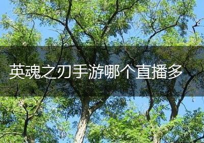 英魂之刃手游哪个直播多