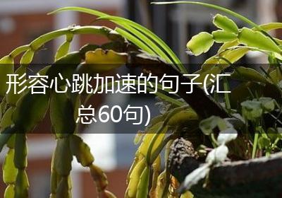 形容心跳加速的句子(汇总60句)