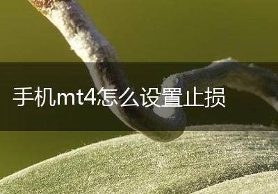 手机mt4怎么设置止损