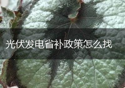 光伏发电省补政策怎么找