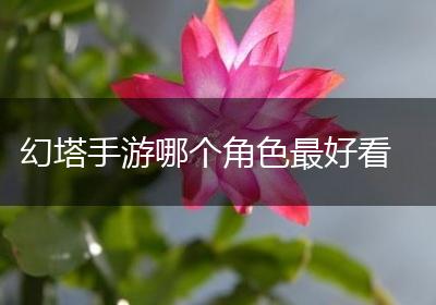 幻塔手游哪个角色最好看