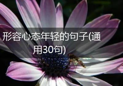 形容心态年轻的句子(通用30句)
