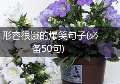 形容很饿的爆笑句子(必备50句)