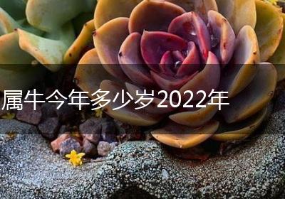 属牛今年多少岁2022年