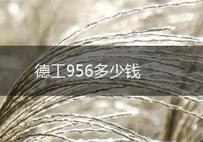 德工956多少钱