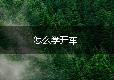 怎么学开车