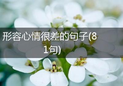 形容心情很差的句子(81句)