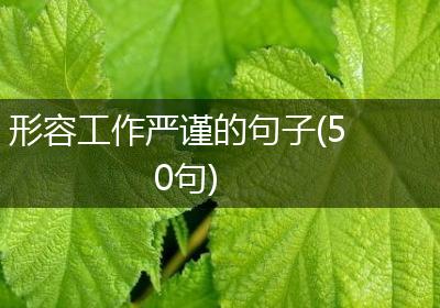 形容工作严谨的句子(50句)