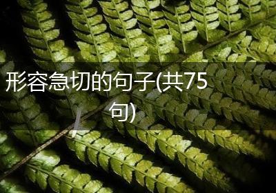 形容急切的句子(共75句)