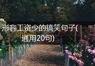 形容工资少的搞笑句子(通用20句)