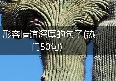 形容情谊深厚的句子(热门50句)
