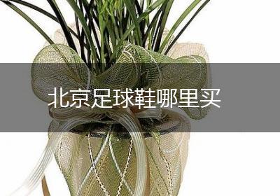 北京足球鞋哪里买