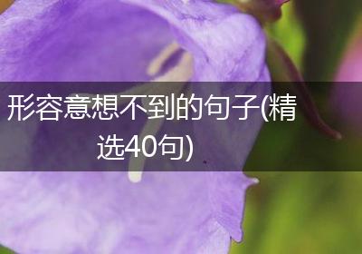 形容意想不到的句子(精选40句)
