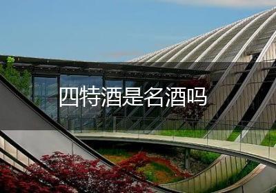 四特酒是名酒吗