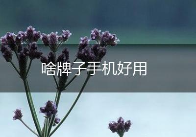 啥牌子手机好用