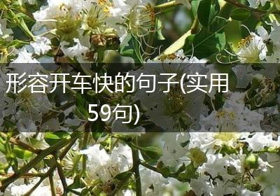 形容开车快的句子(实用59句)