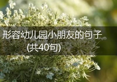 形容幼儿园小朋友的句子(共40句)