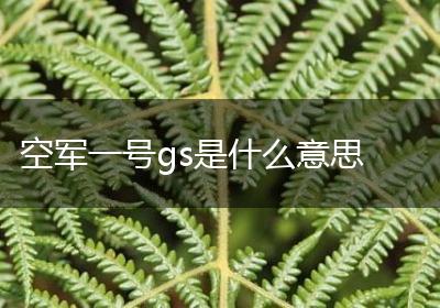 空军一号gs是什么意思
