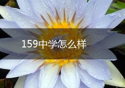 159中学怎么样