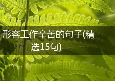 形容工作辛苦的句子(精选15句)