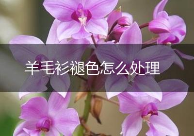 羊毛衫褪色怎么处理
