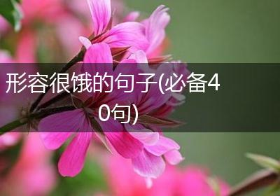 形容很饿的句子(必备40句)