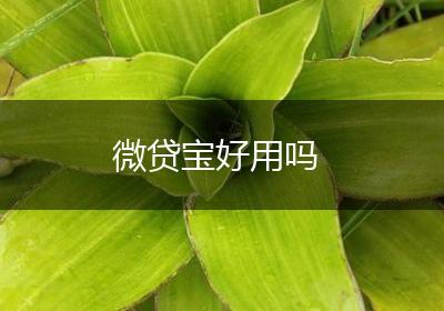 微贷宝好用吗