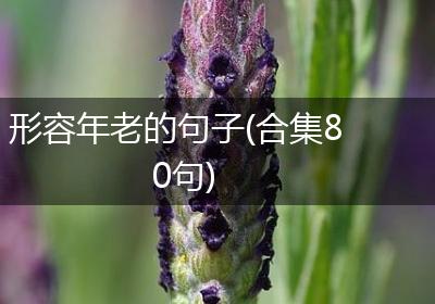 形容年老的句子(合集80句)
