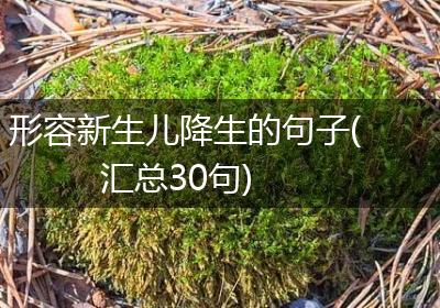 形容新生儿降生的句子(汇总30句)