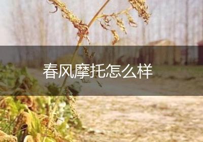 春风摩托怎么样