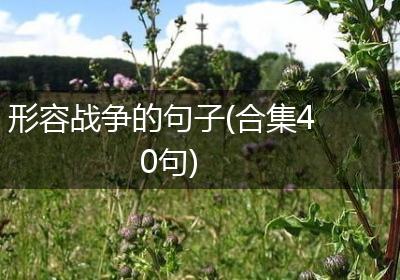 形容战争的句子(合集40句)
