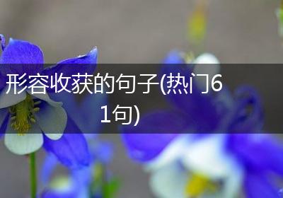 形容收获的句子(热门61句)