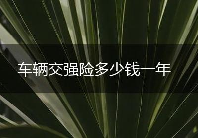 车辆交强险多少钱一年
