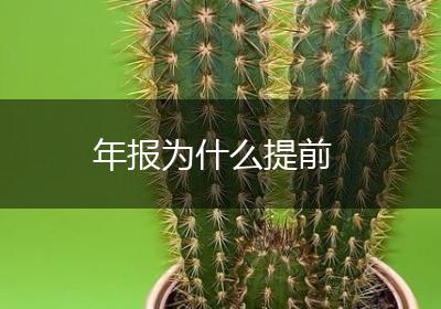 年报为什么提前
