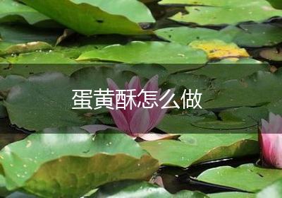 蛋黄酥怎么做
